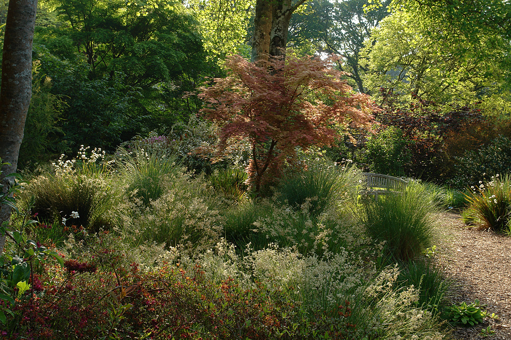 May Time In The Garden Knoll Gardens Ornamental Grasses And